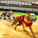 Pets Race Mod apk